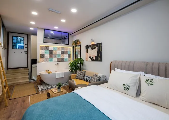 公寓 Istiklal Otto 伊斯坦布尔